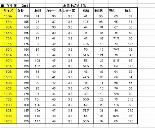 洗濯…可能学生服　カンコー　学ラン　185B